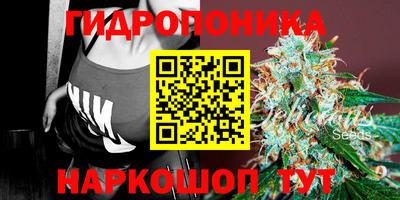 метадон Заводоуковск