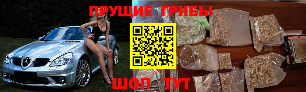 Новоалтайск  Галлюциногенные грибы Cubensis  Вход с VPN 