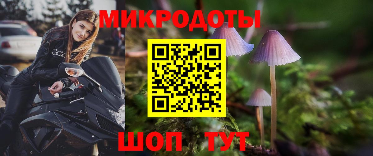 Галлюциногенные грибы мухоморы Новоалтайск